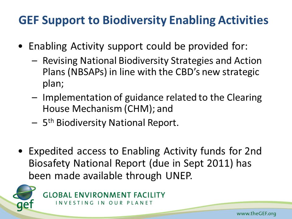 Enabling Activity support could be provided for: –Revising National Biodiversity Strategies and Action Plans (NBSAPs) in line with the CBD’s new strategic plan; –Implementation of guidance related to the Clearing House Mechanism (CHM); and –5 th Biodiversity National Report.