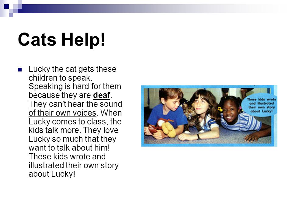 Cats Help. Lucky the cat gets these children to speak.