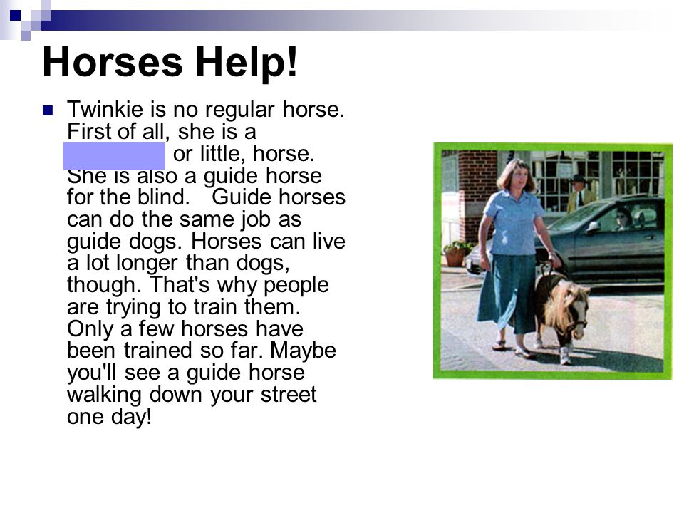 Horses Help. Twinkie is no regular horse. First of all, she is a miniature, or little, horse.