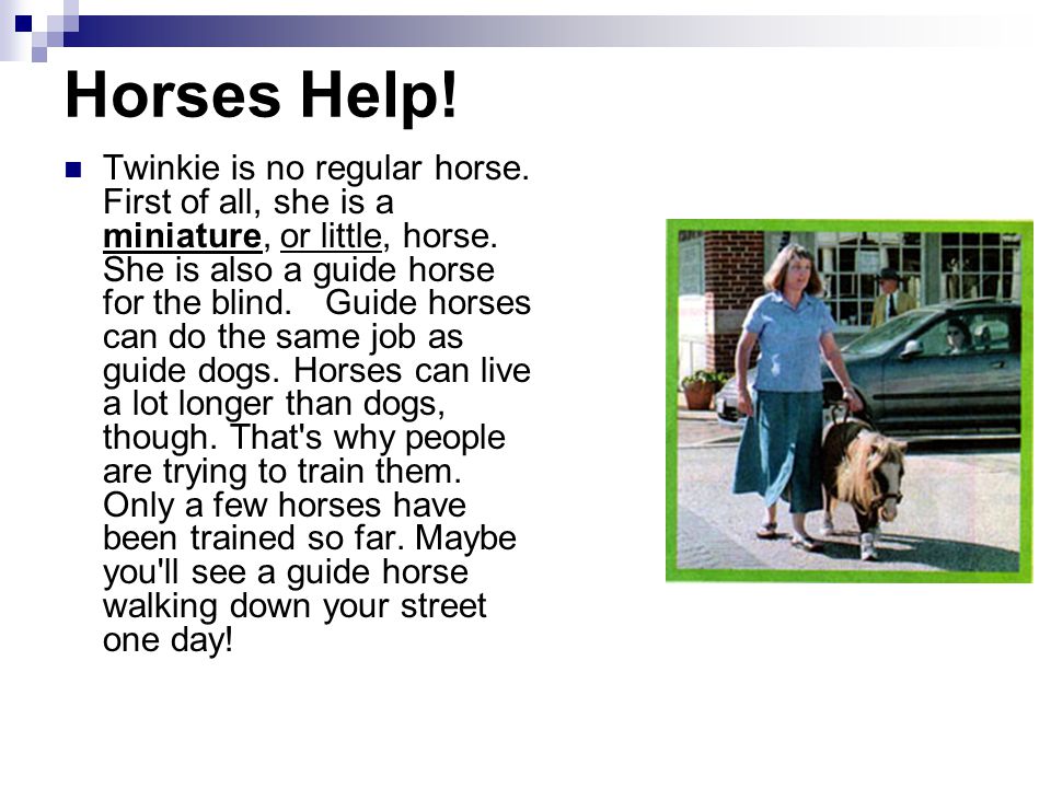 Horses Help. Twinkie is no regular horse. First of all, she is a miniature, or little, horse.