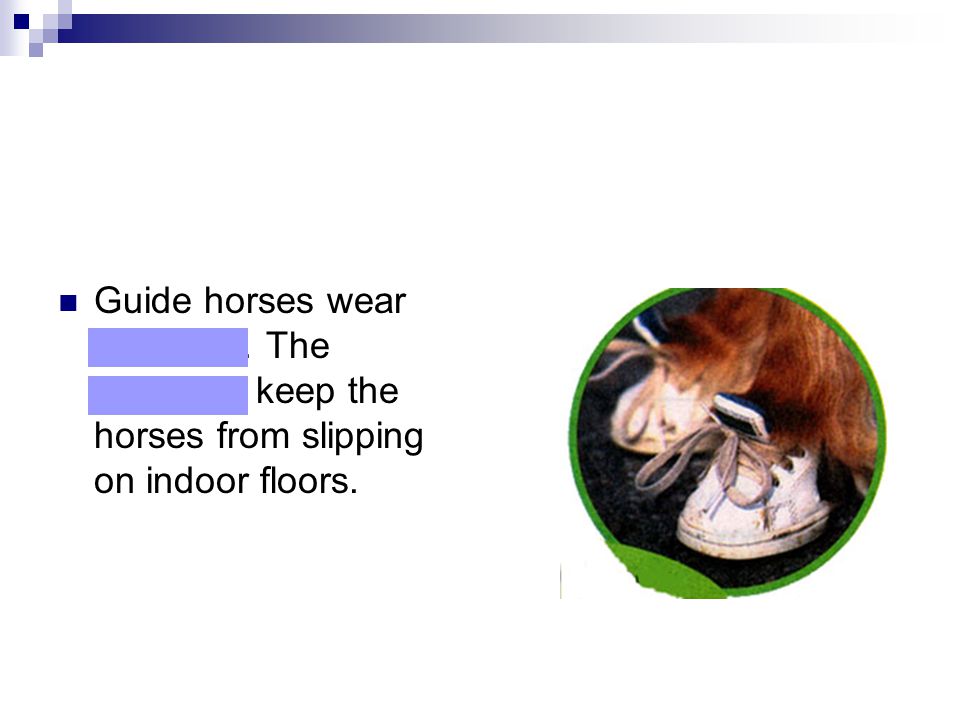 Guide horses wear sneakers. The sneakers keep the horses from slipping on indoor floors.