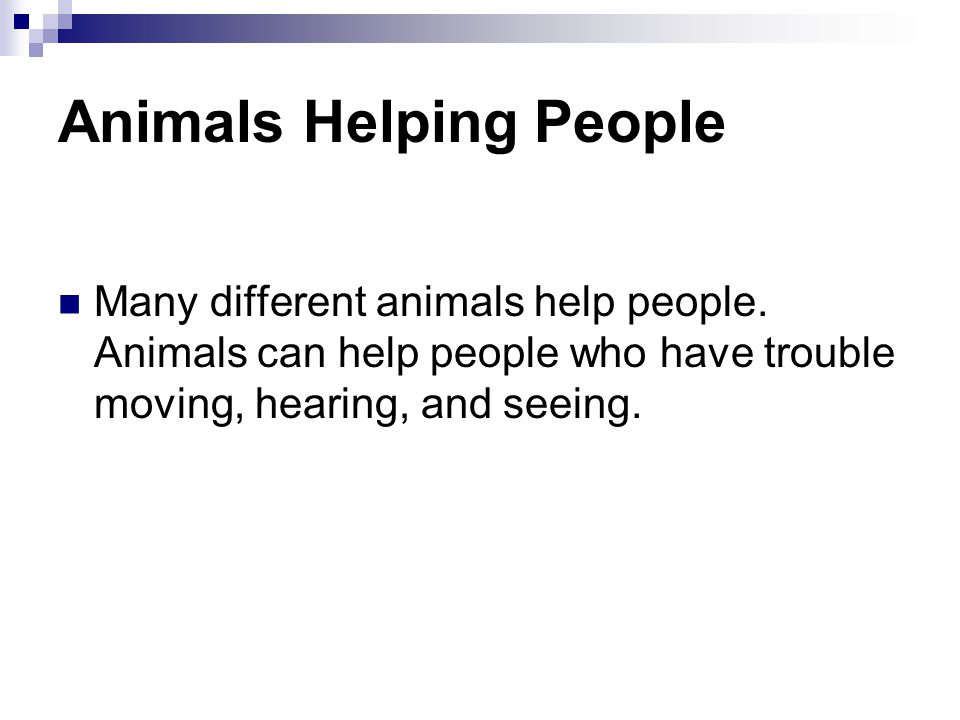Animals Helping People Many different animals help people.