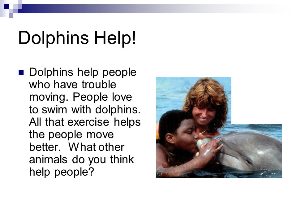 Dolphins Help. Dolphins help people who have trouble moving.