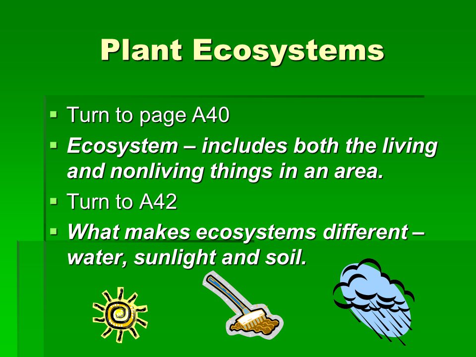 Plant Ecosystems  Turn to page A40  Ecosystem – includes both the living and nonliving things in an area.