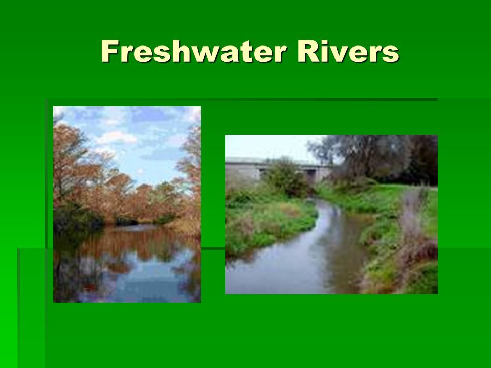 Freshwater Rivers