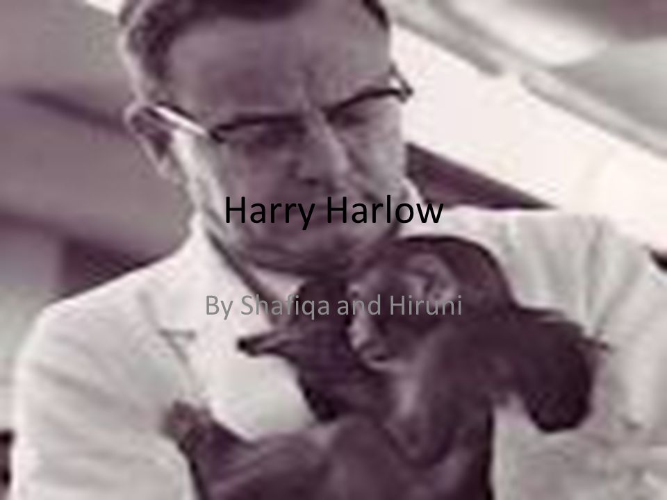 Harry Harlow By Shafiqa and Hiruni
