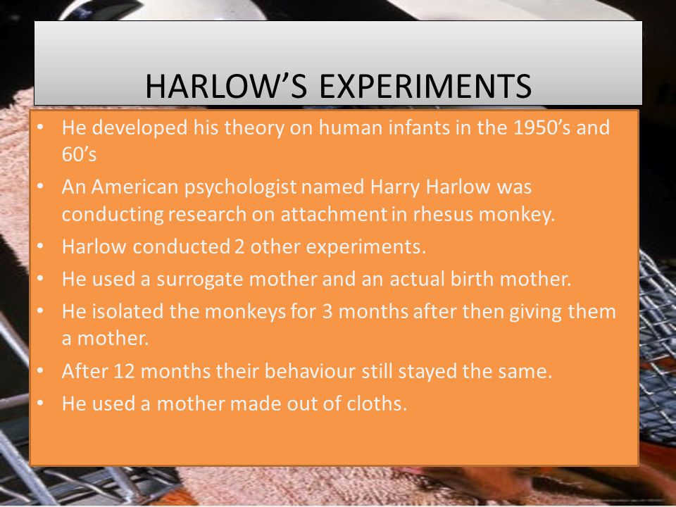 HARLOW’S EXPERIMENTS He developed his theory on human infants in the 1950’s and 60’s An American psychologist named Harry Harlow was conducting research on attachment in rhesus monkey.