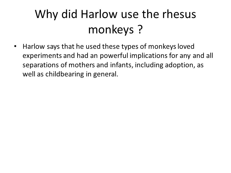 Why did Harlow use the rhesus monkeys .