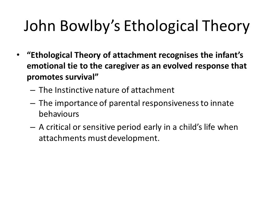 Attachment Theory Essay