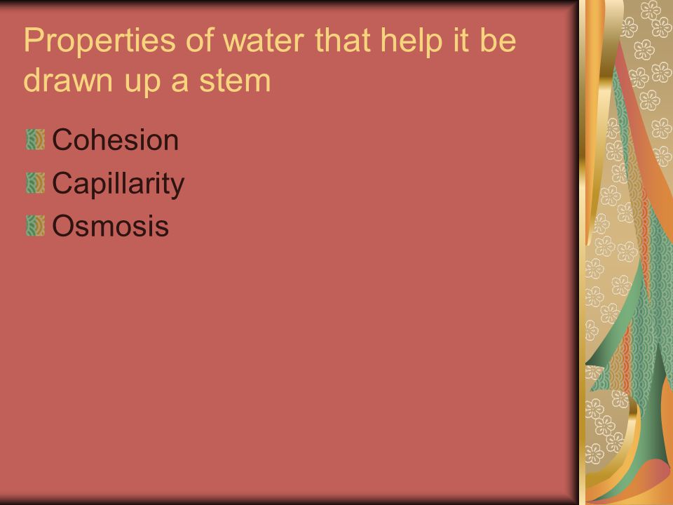 Properties of water that help it be drawn up a stem Cohesion Capillarity Osmosis