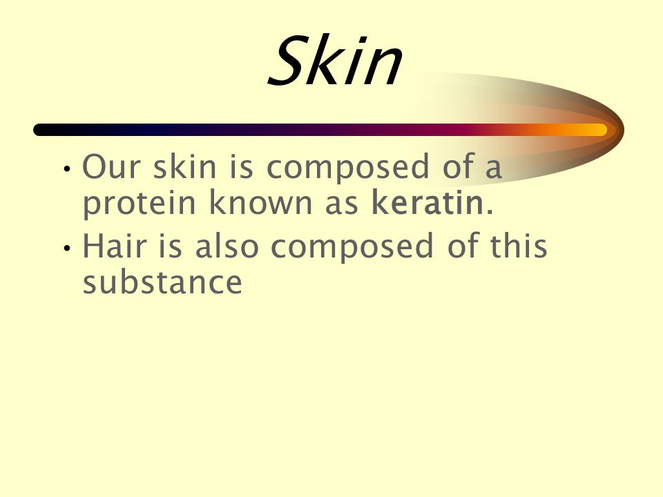 Skin Skin is the largest organ of the body.