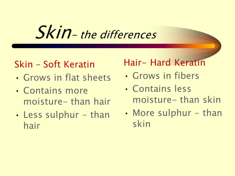 Skin Our skin is composed of a protein known as keratin. Hair is also composed of this substance