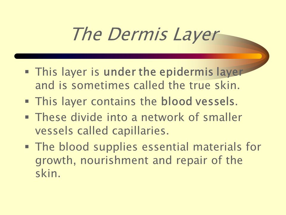 Corneum layer The Corneum layer is the top layer of your skin.