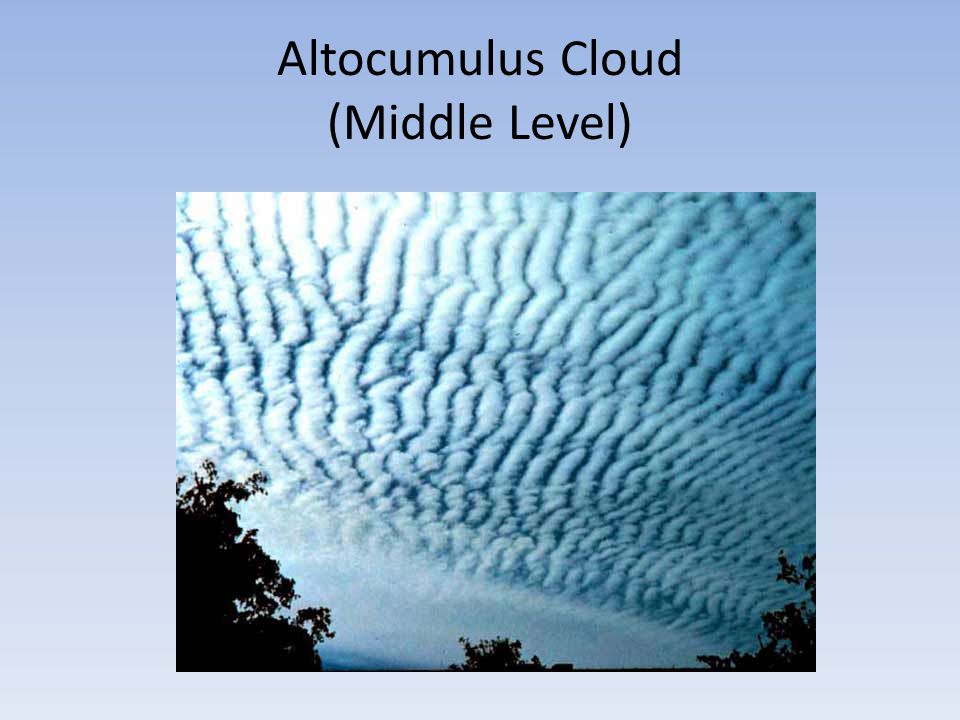 Altocumulus Cloud (Middle Level)