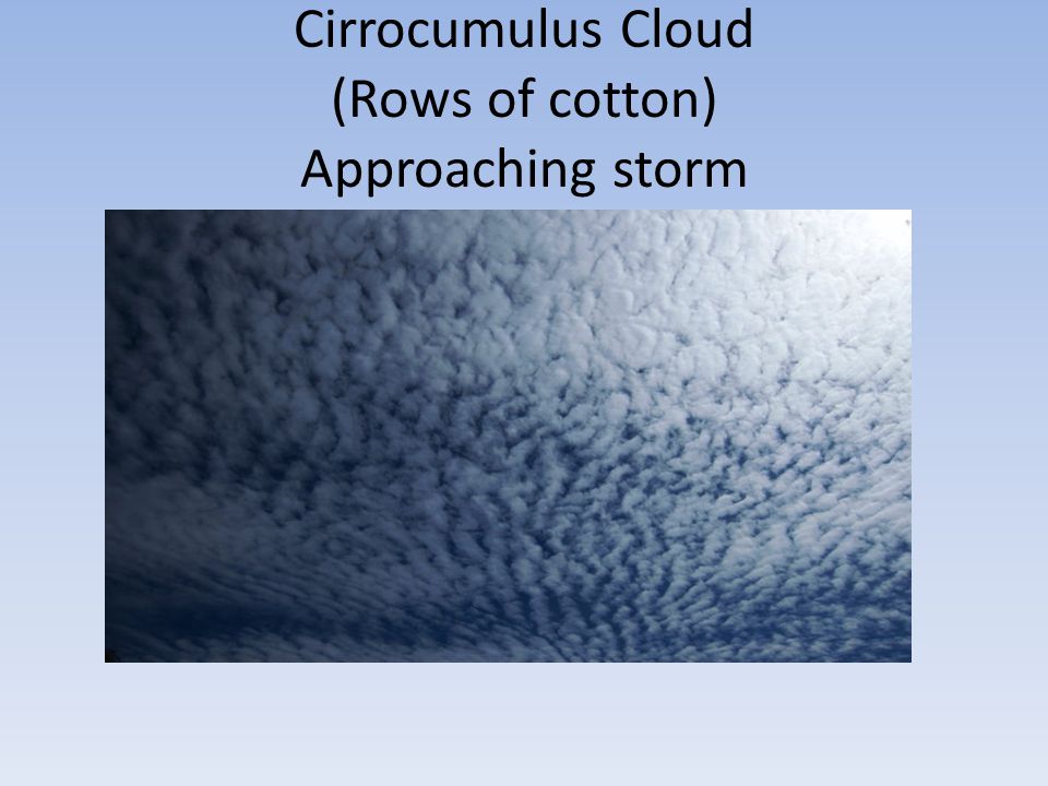 Cirrocumulus Cloud (Rows of cotton) Approaching storm
