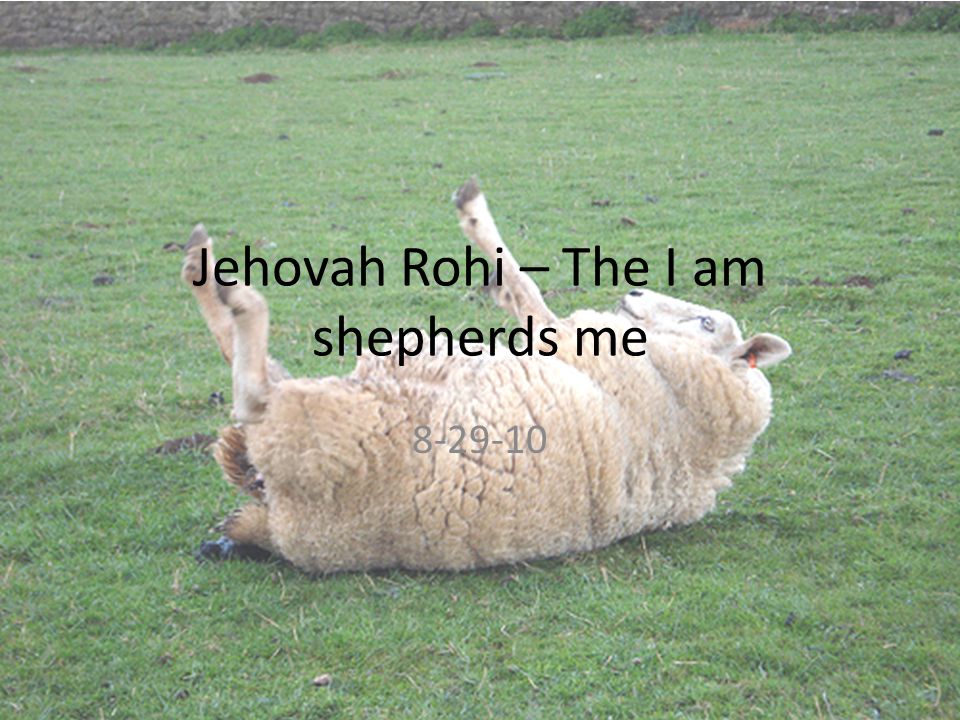 Jehovah Rohi – The I am shepherds me