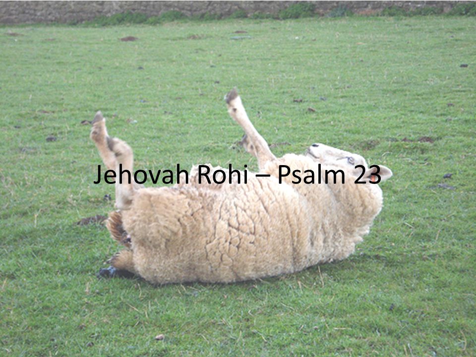 Jehovah Rohi – Psalm 23