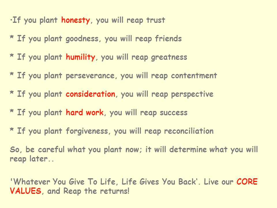 If you plant honesty, you will reap trust * If you plant goodness, you will reap friends * If you plant humility, you will reap greatness * If you plant perseverance, you will reap contentment * If you plant consideration, you will reap perspective * If you plant hard work, you will reap success * If you plant forgiveness, you will reap reconciliation So, be careful what you plant now; it will determine what you will reap later..