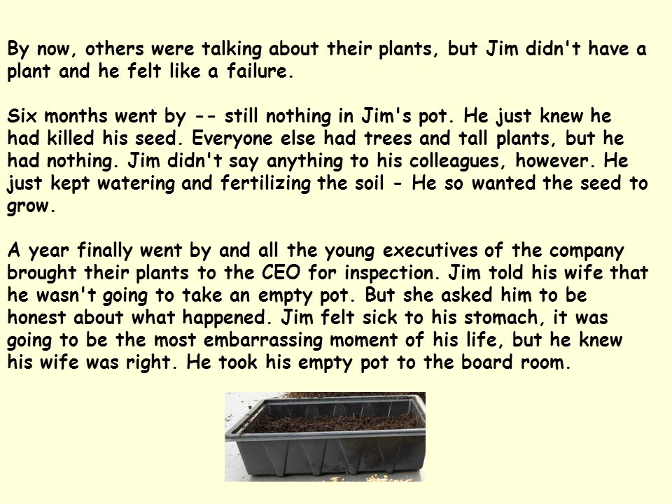 By now, others were talking about their plants, but Jim didn t have a plant and he felt like a failure.