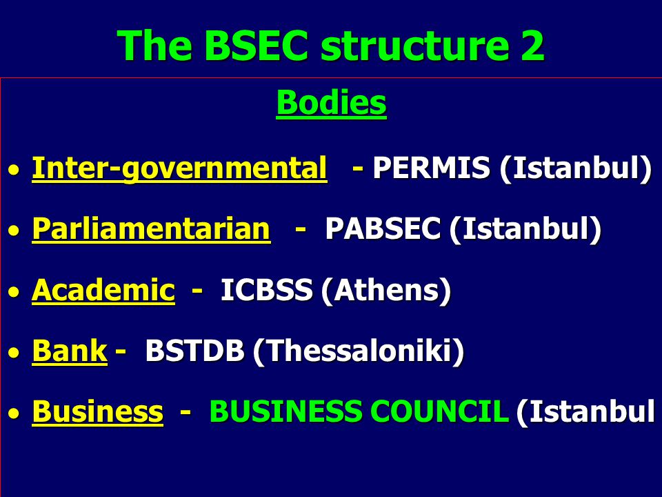 The BSEC structure 2 Bodies  Inter-governmental - PERMIS (Istanbul)  Parliamentarian - PABSEC (Istanbul)  Academic - ICBSS (Athens)  Bank - BSTDB (Thessaloniki)  Business - BUSINESS COUNCIL (Istanbul