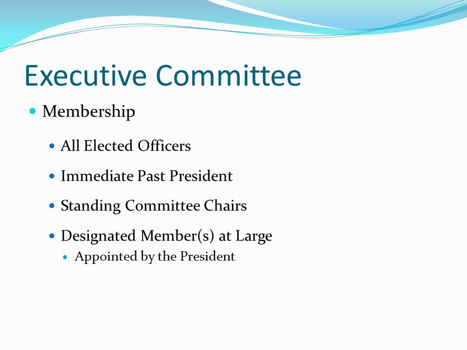 Executive Committee Membership All Elected Officers Immediate Past President Standing Committee Chairs Designated Member(s) at Large Appointed by the President