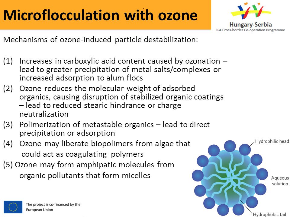 Microflocculation with ozone..