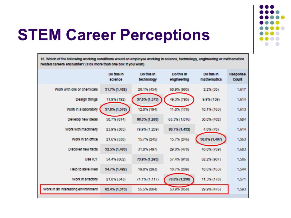 STEM Career Perceptions