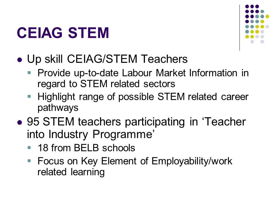 CEIAG STEM Up skill CEIAG/STEM Teachers  Provide up-to-date Labour Market Information in regard to STEM related sectors  Highlight range of possible STEM related career pathways 95 STEM teachers participating in ‘Teacher into Industry Programme’  18 from BELB schools  Focus on Key Element of Employability/work related learning