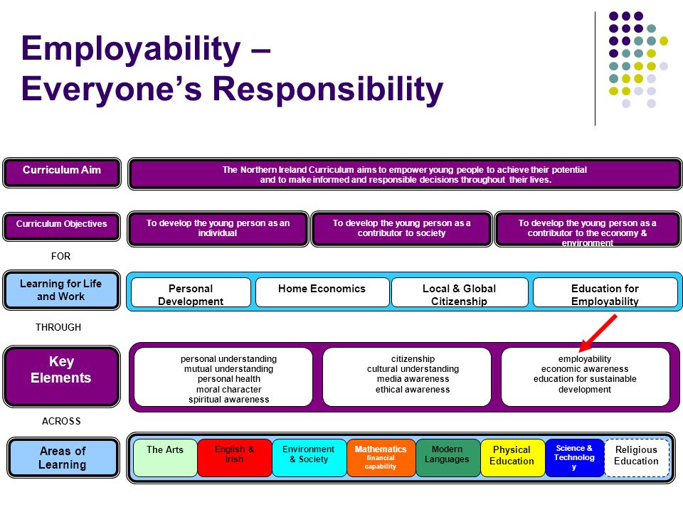 Employability – Everyone’s Responsibility Curriculum Aim The Northern Ireland Curriculum aims to empower young people to achieve their potential and to make informed and responsible decisions throughout their lives.