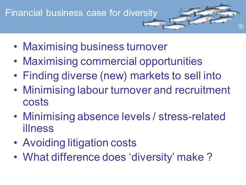 Financial business case for diversity Maximising business turnover Maximising commercial opportunities Finding diverse (new) markets to sell into Minimising labour turnover and recruitment costs Minimising absence levels / stress-related illness Avoiding litigation costs What difference does ‘diversity’ make