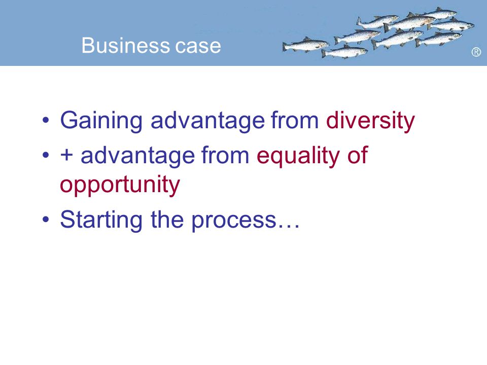 Business case Gaining advantage from diversity + advantage from equality of opportunity Starting the process…