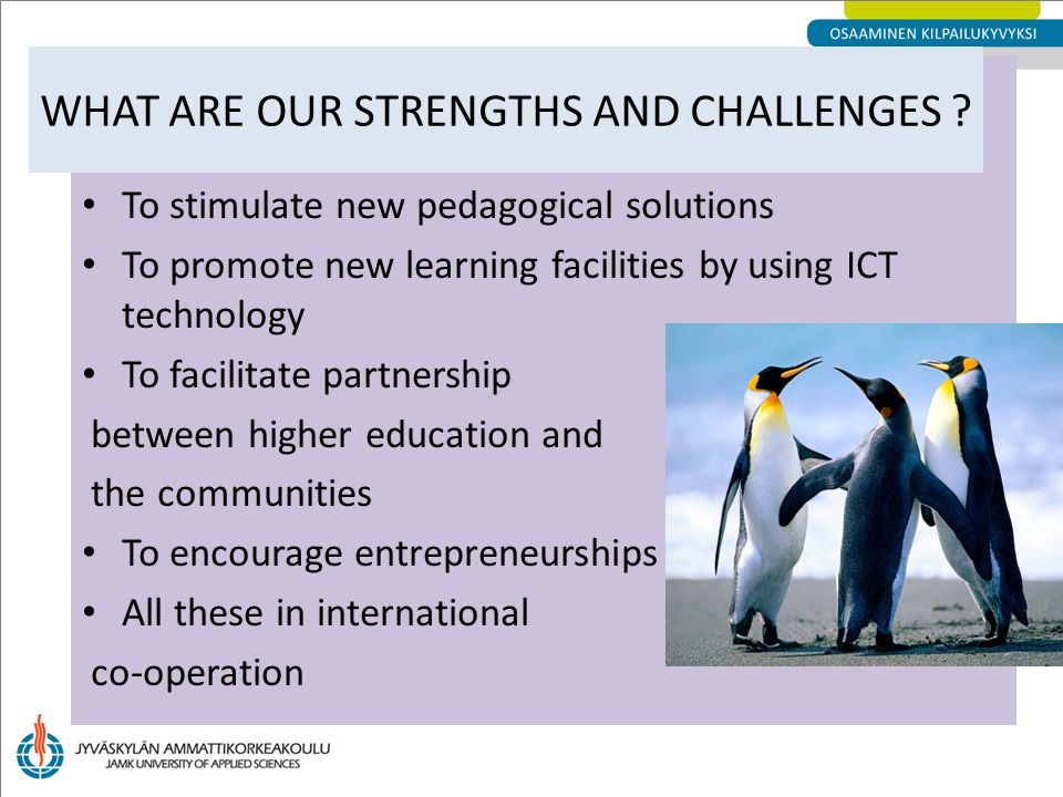 To stimulate new pedagogical solutions To promote new learning facilities by using ICT technology To facilitate partnership between higher education and the communities To encourage entrepreneurships All these in international co-operation WHAT ARE OUR STRENGTHS AND CHALLENGES