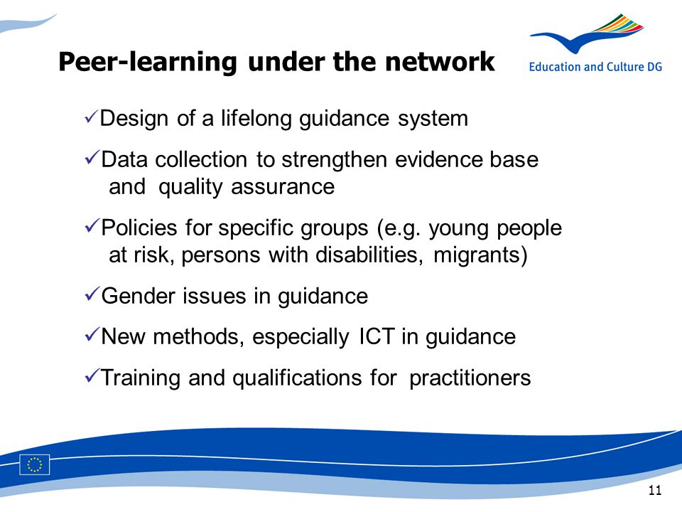 11 Peer-learning under the network Design of a lifelong guidance system Data collection to strengthen evidence,base,,,,and quality assurance Policies for specific groups (e.g.