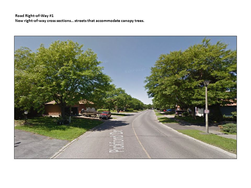 Road Right-of-Way #1 New right-of-way cross sections… streets that accommodate canopy trees.