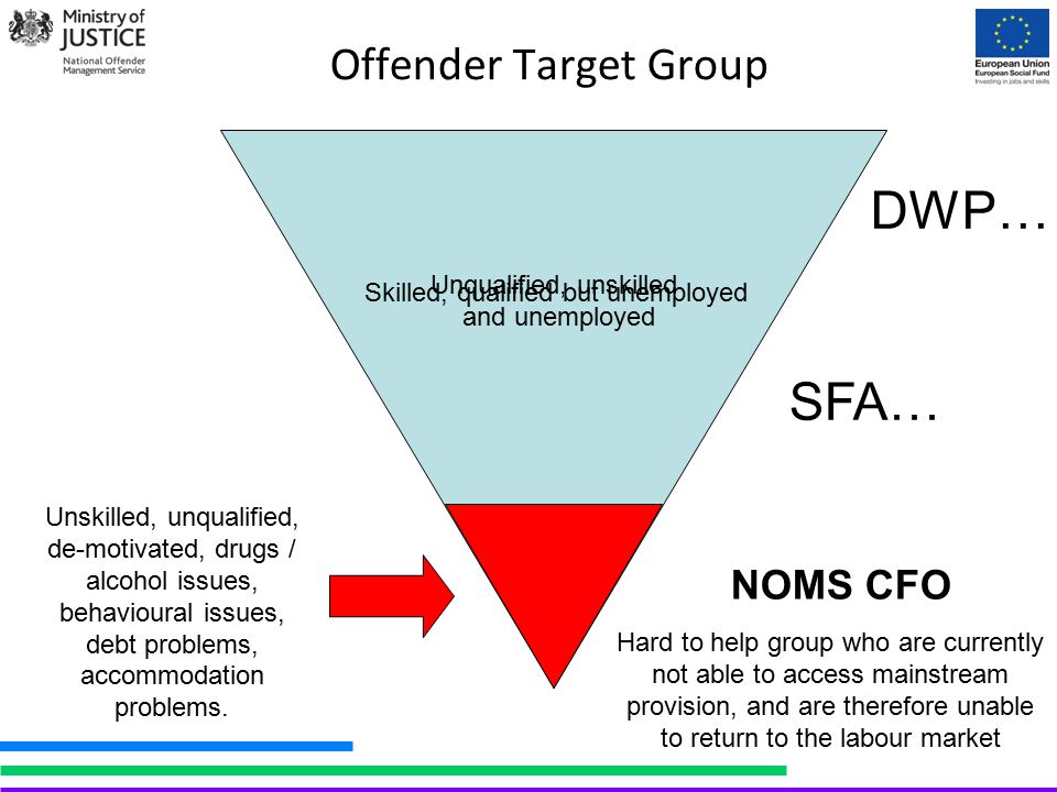 Offender Target Group Skilled, qualified but unemployed Unqualified, unskilled and unemployed Unskilled, unqualified, de-motivated, drugs / alcohol issues, behavioural issues, debt problems, accommodation problems.