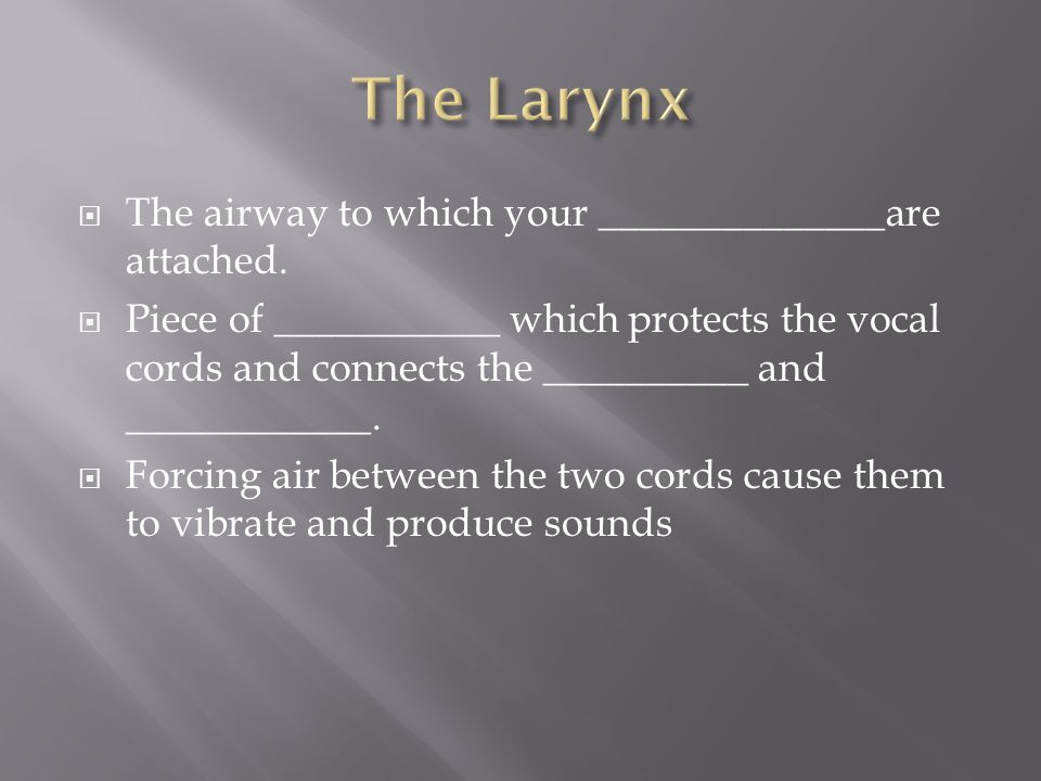  The airway to which your ______________are attached.