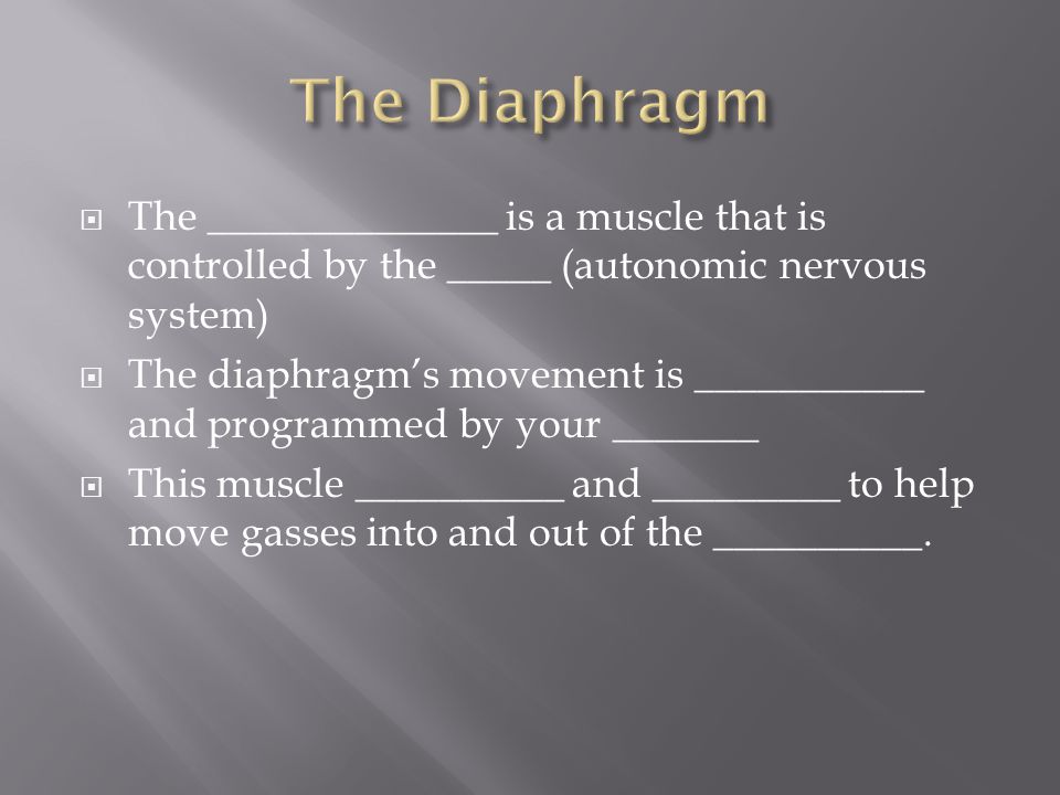  The ______________ is a muscle that is controlled by the _____ (autonomic nervous system)  The diaphragm’s movement is ___________ and programmed by your _______  This muscle __________ and _________ to help move gasses into and out of the __________.