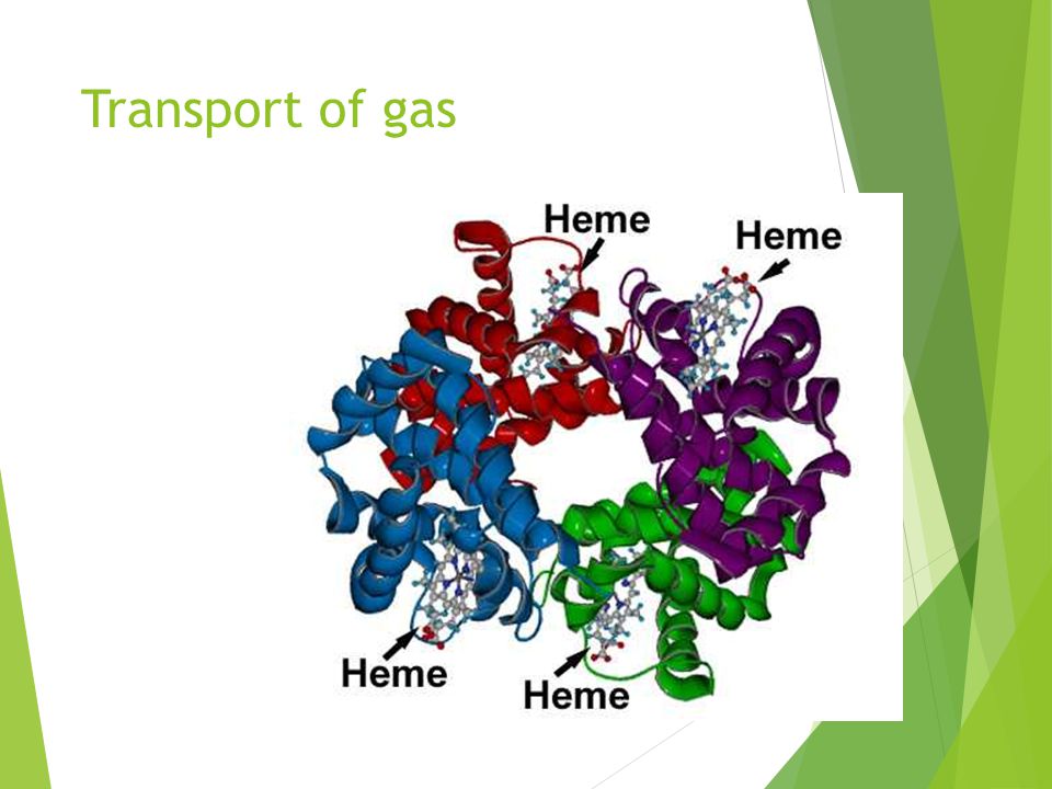 Transport of gas