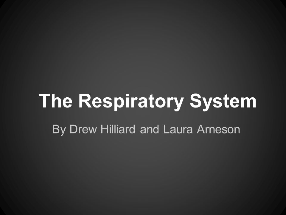 The Respiratory System By Drew Hilliard and Laura Arneson
