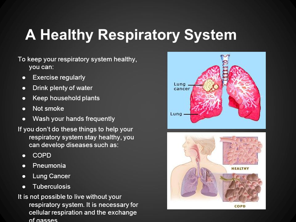 A Healthy Respiratory System To keep your respiratory system healthy, you can: ●Exercise regularly ●Drink plenty of water ●Keep household plants ●Not smoke ●Wash your hands frequently If you don’t do these things to help your respiratory system stay healthy, you can develop diseases such as: ●COPD ●Pneumonia ●Lung Cancer ●Tuberculosis It is not possible to live without your respiratory system.