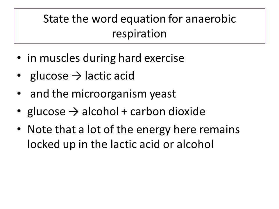 What Is The Equation For Aerobic Respiration In Muscle Cells Word Equation For Aerobic Respiration Talkchannels