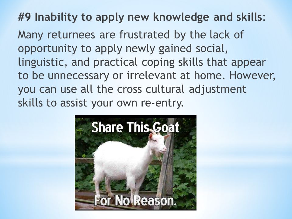 #9 Inability to apply new knowledge and skills: Many returnees are frustrated by the lack of opportunity to apply newly gained social, linguistic, and practical coping skills that appear to be unnecessary or irrelevant at home.