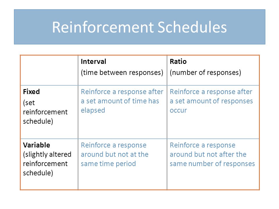 Reinforcement Schedules Interval (time between responses) Ratio (number of responses) Fixed (set reinforcement schedule) Reinforce a response after a set amount of time has elapsed Reinforce a response after a set amount of responses occur Variable (slightly altered reinforcement schedule) Reinforce a response around but not at the same time period Reinforce a response around but not after the same number of responses