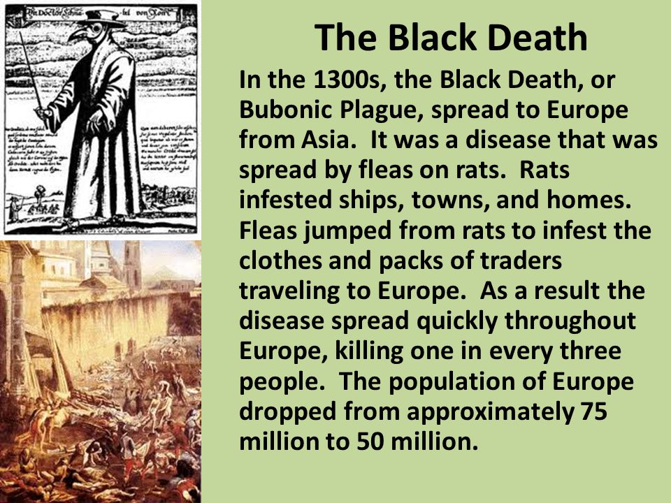 The Black Death In the 1300s, the Black Death, or Bubonic Plague, spread to Europe from Asia.
