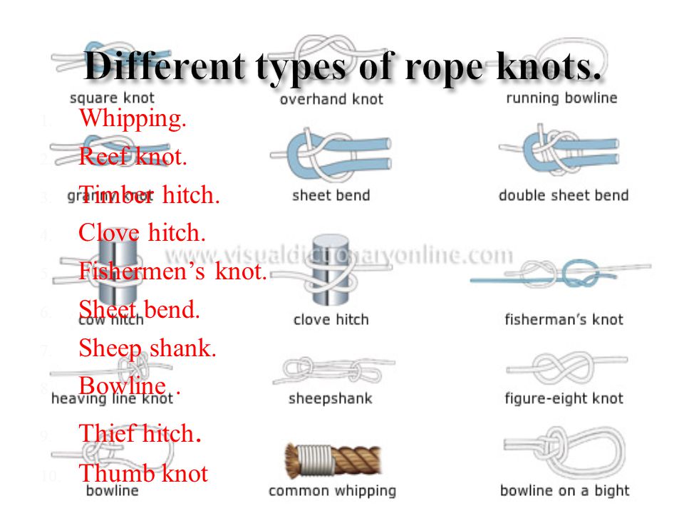 yonten norbu samtse college of education definition types sheet bend knot uses