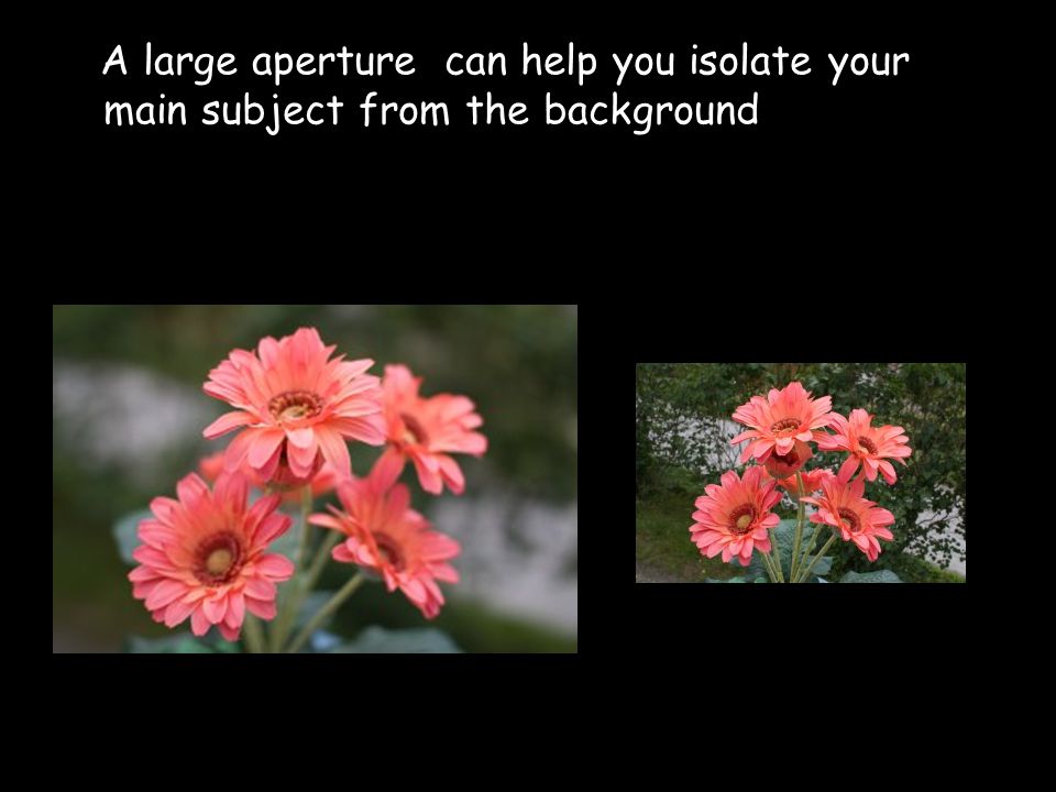 A large aperture can help you isolate your main subject from the background