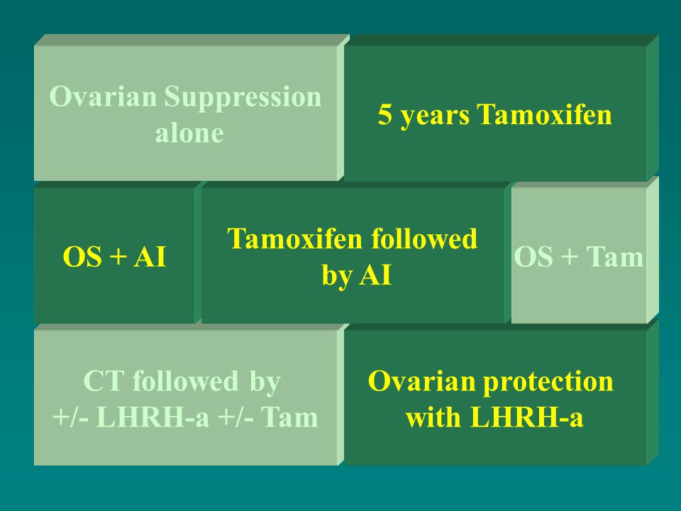 CT followed by +/- LHRH-a +/- Tam Ovarian protection with LHRH-a OS + AI Tamoxifen followed by AI Ovarian Suppression alone OS + Tam 5 years Tamoxifen