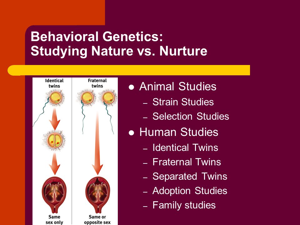Nature Vs Nurture Essays