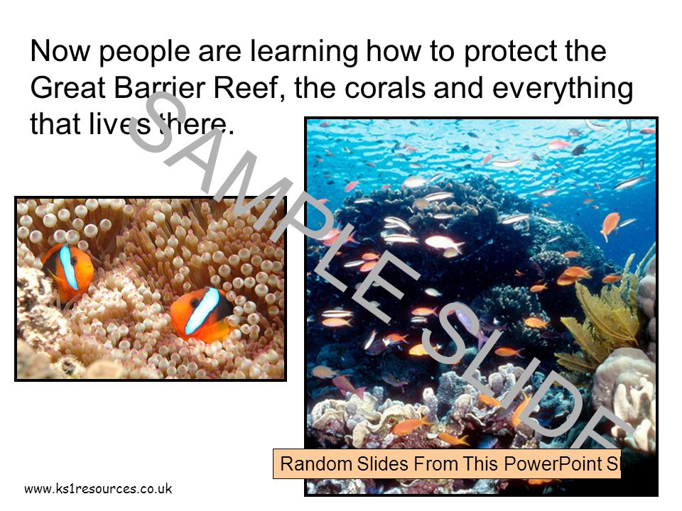 Now people are learning how to protect the Great Barrier Reef, the corals and everything that lives there.
