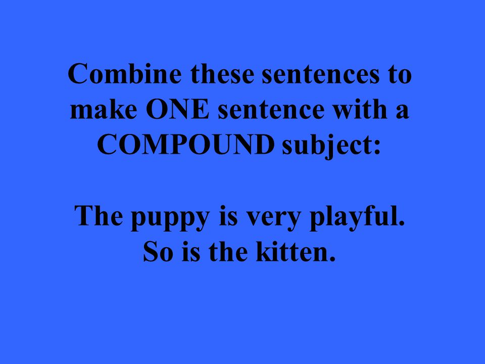 Combine these sentences to make ONE sentence with a COMPOUND subject: The puppy is very playful.